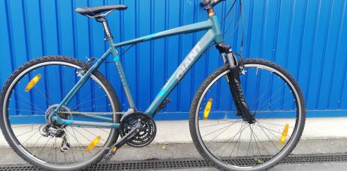 giant Roam 4
