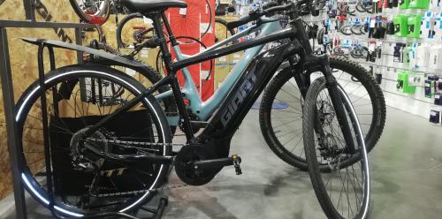 Giant Roam E+